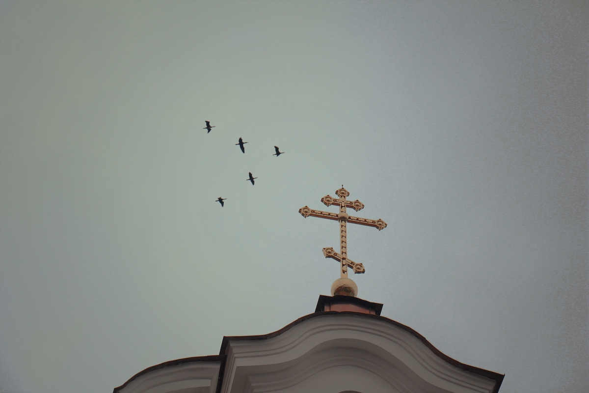 Состоялась паломническая поездка в Жировичи